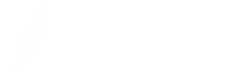 Raven Cybersecurity